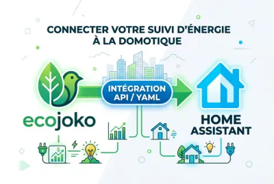 Infographie connexion API entre Ecojoko et Home Assistant