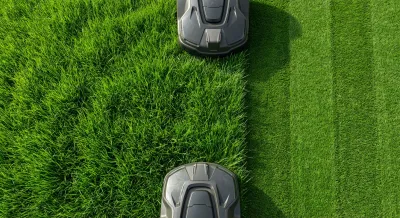 Détail d'une ligne de tonte nette sur un gazon verdoyant