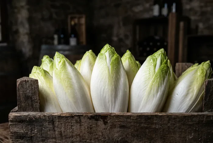 Endives blanches fraîchement récoltées dans une caisse en bois