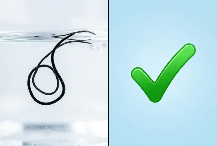 Analyse de la présence de vers dans l'eau de piscine