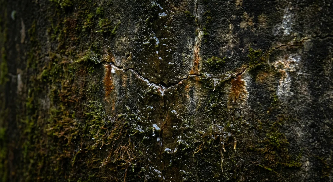 Infiltration d'eau et humidité dans un regard en béton fissuré.